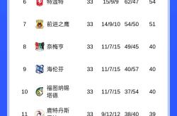 华体会登录-阿贾克斯奋力一搏，晋级成谜